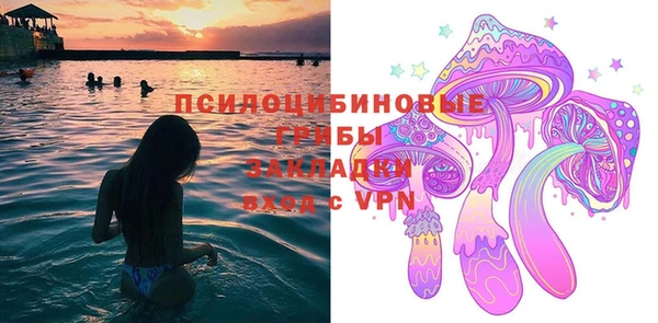 винт Аркадак