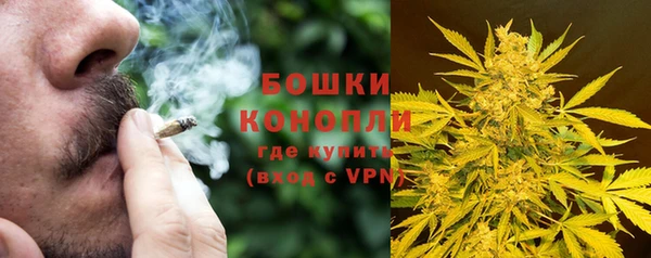 винт Аркадак