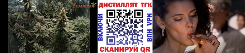 площадка какой сайт  Губаха  Дистиллят ТГК гашишное масло  МЕГА вход 