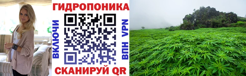 Канабис Amnesia  Губаха 